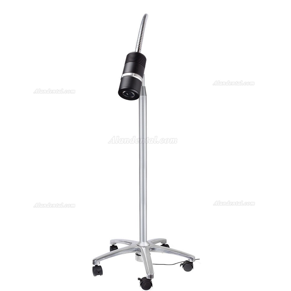 Micare JD1100L Dental Examination Light 7W LED Medical Examination Lamp Standing Type